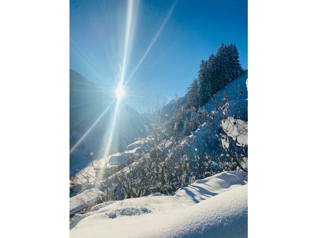 Apartment Appartement 3 Schlafräume/Dusche, WC