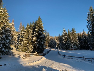 Apartment Appartement 3 Schlafräume/Dusche, WC - Outdoor photo 8