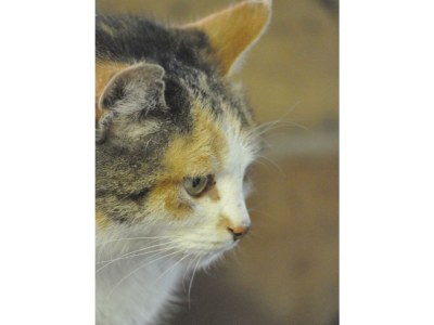 Apartment Wohnung 3-5 Pers./3 Schlafräume/DU, WC - Outdoor photo 9