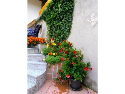 Apartment Wohnung 4 -5  Pers./2 Schlafräume/Dusche - Outdoor photo 6