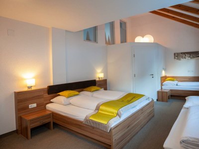 Apartment Chalet - Features photo 15