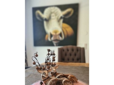 Apartment Chalet - Features photo 22