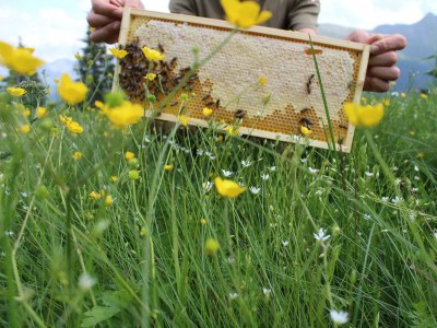 Holiday room Familienzimmer - Outdoor photo 17