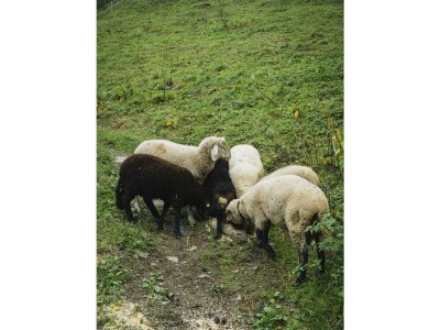 Holiday room Familienzimmer - Outdoor photo 28