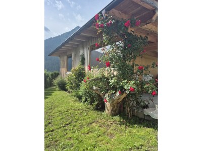 Apartment Ferienwohnung Apart Jörg - Outdoor photo 9