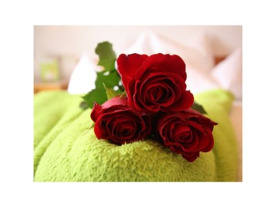 Apartment Ann 4-5 Pers./2 Schlafräume/DU, WC - Outdoor photo 3