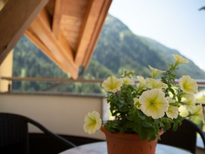 Apartment Apartment Typ B (4-5 Pers.) in Kappl - Apartment