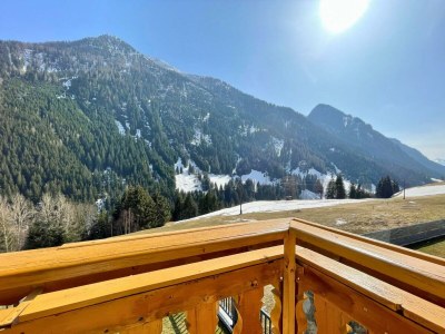 Apartment 12 Personen Ferienwohnung Haus Olympia - Features photo 20