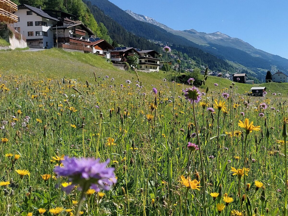 Holiday room Doppelzimmer mit Dusche, WC - Outdoor photo 5