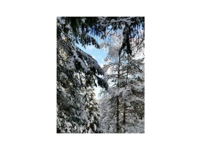 Holiday room Doppelzimmer mit Dusche, WC - Features photo 35