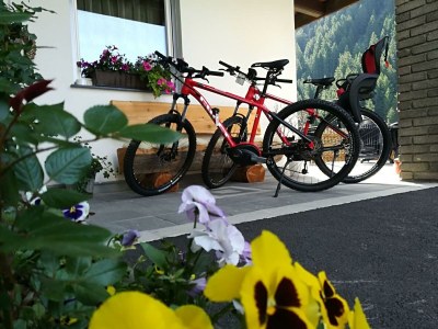 Apartment App. Edelweiss (2-4 Pers) - Outdoor photo 10