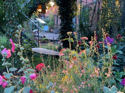 Cottage Haus an der Elbe - Outdoor photo 3