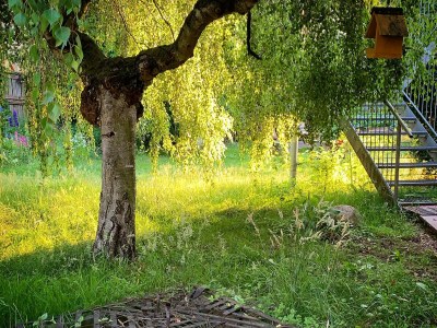Cottage Haus an der Elbe - Outdoor photo 4