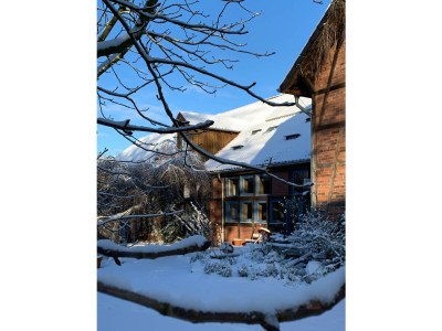 Cottage Haus an der Elbe - Outdoor photo 8