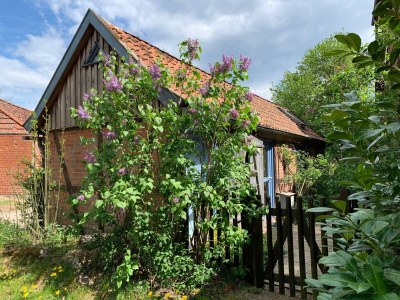 Cottage Haus an der Elbe - Outdoor photo 9