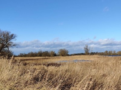 Cottage Haus an der Elbe - Environment photo 32