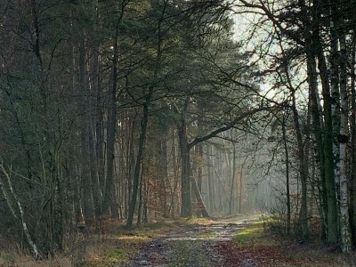 Cottage Haus an der Elbe - Environment photo 34