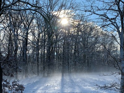 Cottage Haus an der Elbe - Environment photo 36