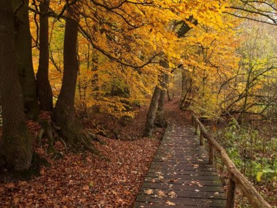 Holiday park Chalet in Ootmarsum auf dem Kuiperberg - Environment photo 20