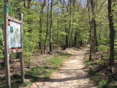 Holiday park Chalet in Ootmarsum auf dem Kuiperberg - Environment photo 29