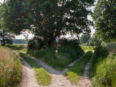 Holiday park Chalet in Ootmarsum auf dem Kuiperberg - Environment photo 30