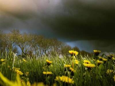 Holiday park Rückzugsort am Wasser, Friesland - Environment photo 23