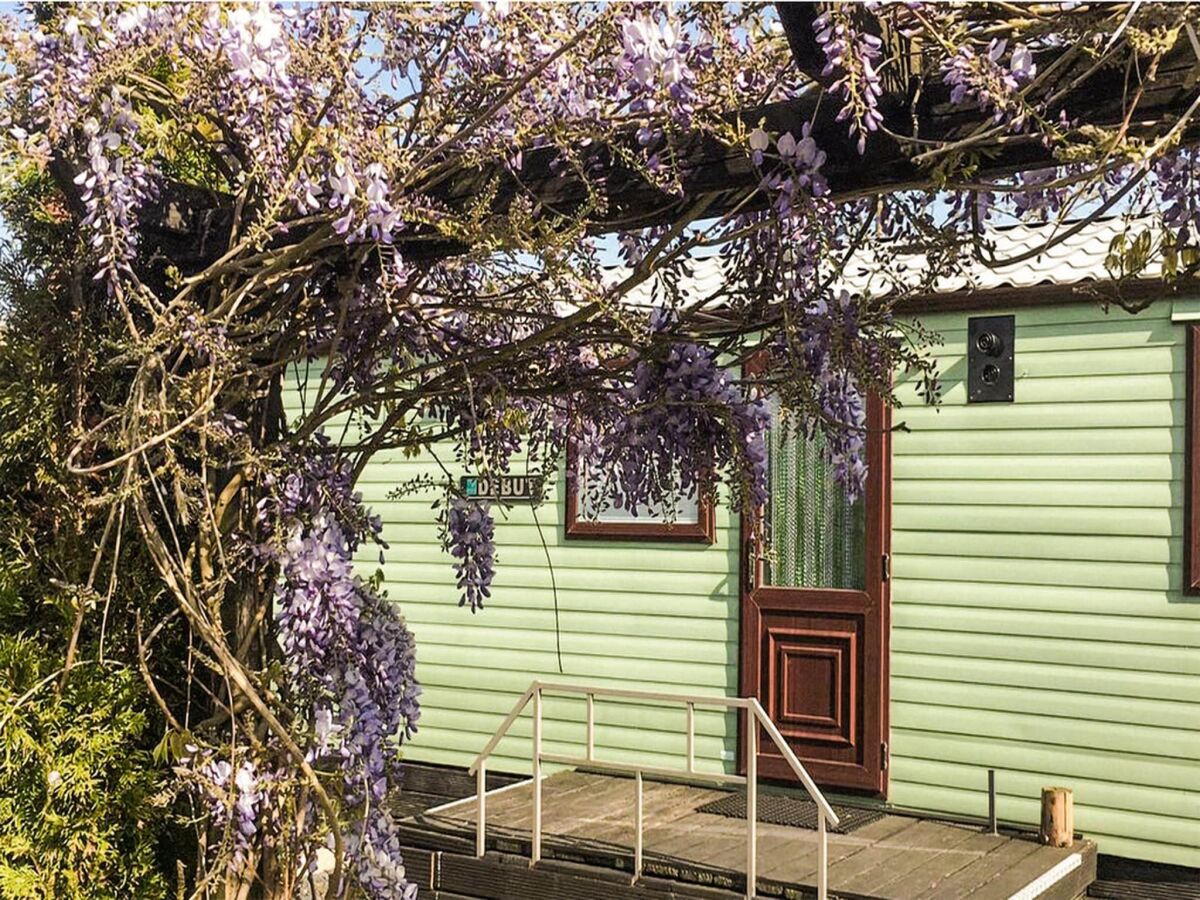 Holiday house Gemütliches Chalet in Tzummarum - Outdoor photo 4