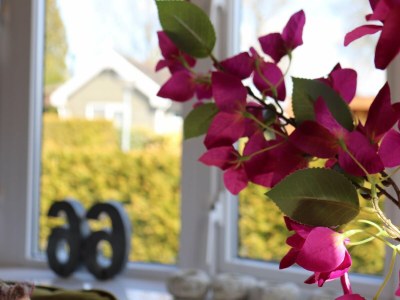 Holiday house Gemütliches Chalet in Tzummarum - Outdoor photo 35