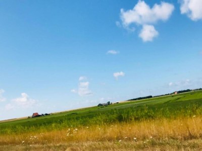 Holiday house Chalet in Friesland near Wadden Sea - Environment photo 10