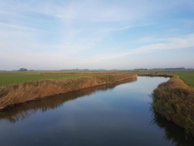 Holiday house Chalet in Friesland near Wadden Sea - Environment photo 12