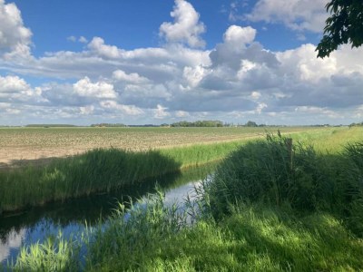 Holiday house Chalet in Friesland near Wadden Sea - Environment photo 13