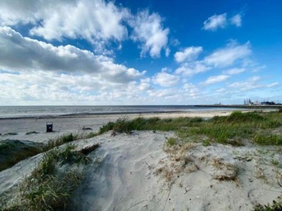 Holiday house Chalet in Friesland near Wadden Sea - Environment photo 20
