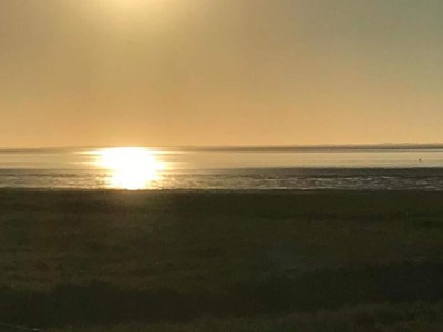 Holiday house Chalet in Friesland near Wadden Sea - Environment photo 22