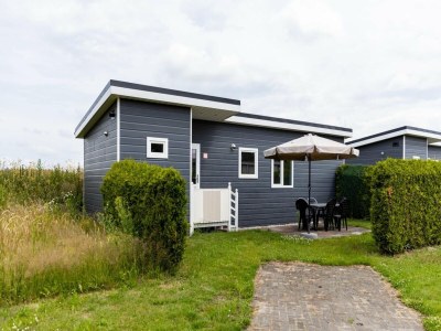 Holiday house Freistehendes Chalet für 5 Personen in Schoonloo - Outdoor photo 3