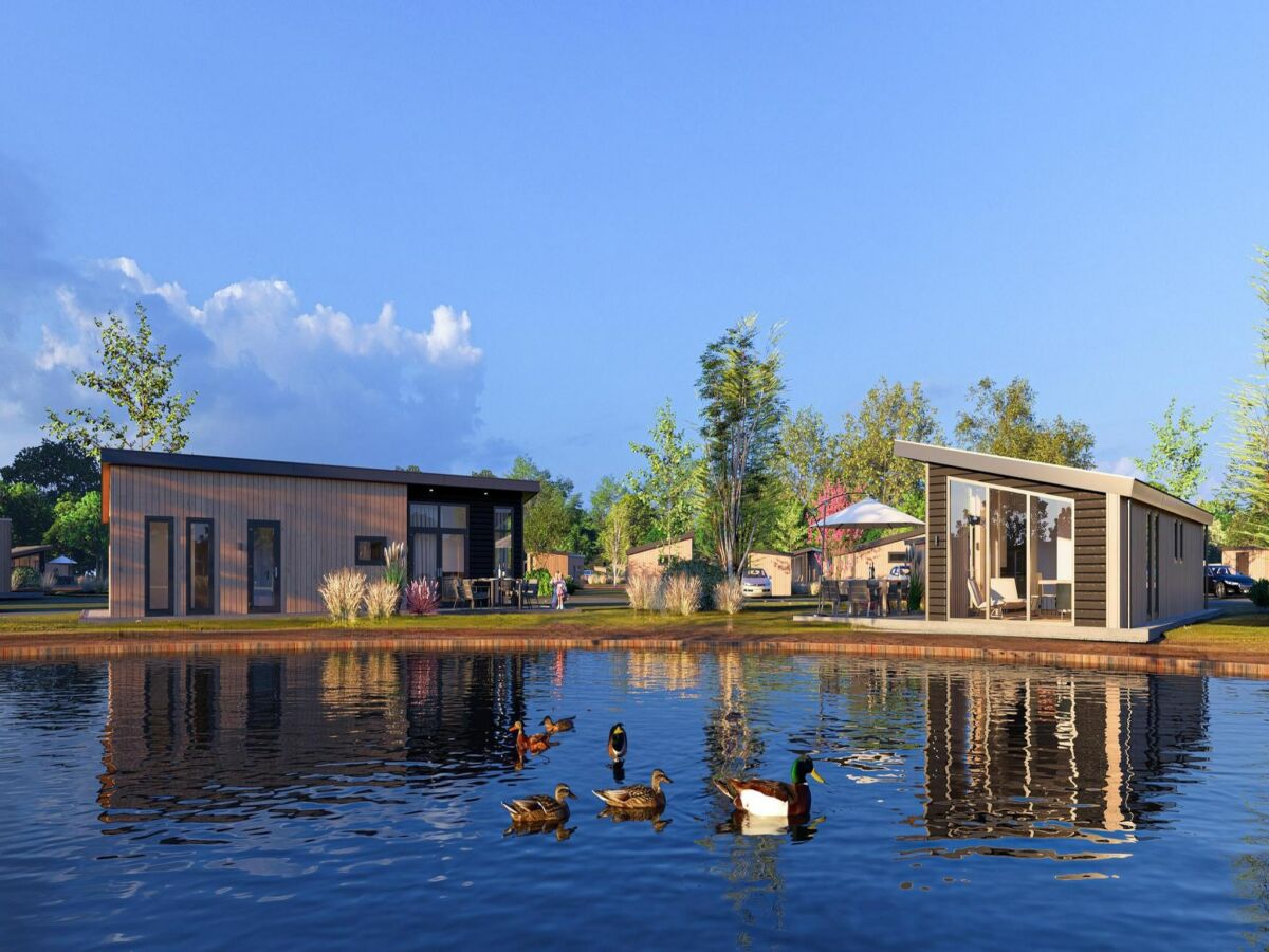 Holiday house Furnished chalet in Schoonloo for 6 people - Outdoor photo 4