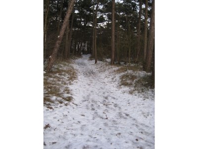 Holiday house Strandperle - Environment photo 25