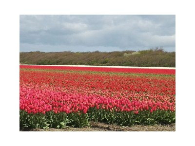 Holiday house Strandperle - Environment photo 33