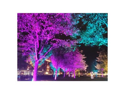 Holiday house Strandperle - Environment photo 38