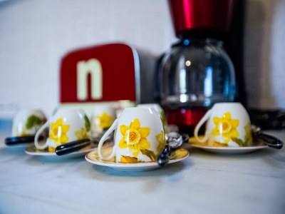 Villa Villa in Pieve San Giovanni with Pool - Outdoor photo 37