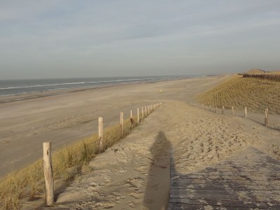 Holiday apartment Bloothooft - Environment photo 17