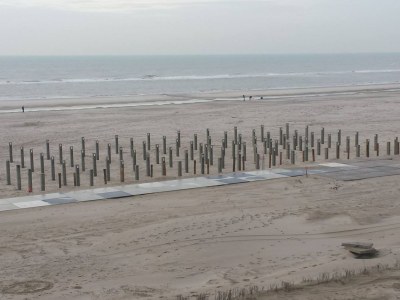 Holiday apartment Bloothooft - Environment photo 20