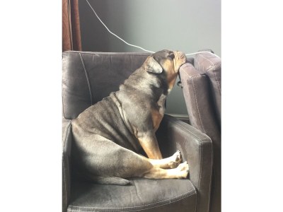 Holiday apartment Bloothooft - Environment photo 21