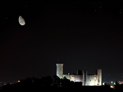 Holiday house Miquel Santandreu 40 Villa für 10 Gäste - Environment photo 29