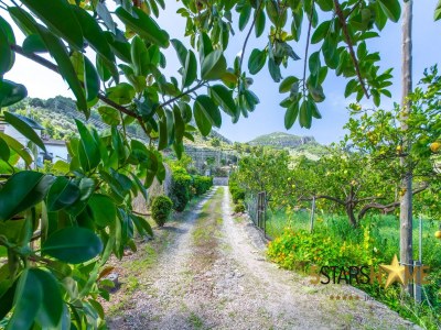 Holiday house Villa Frontera with Saltwater Pool - Environment photo 29
