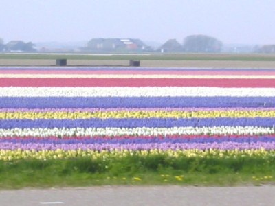 Bungalow mit WLAN im de Zandloper - Environment photo 16