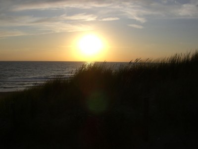 Bungalow mit WLAN im de Zandloper - Environment photo 19