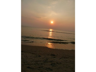 Bungalow mit WLAN im de Zandloper - Environment photo 21