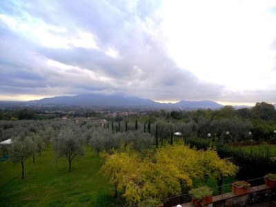 Holiday house Capannori Verspieltes Cottage - Environment photo 16