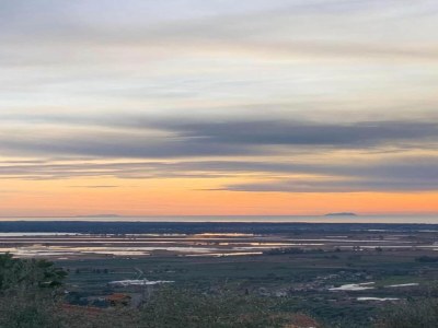 Holiday house Capannori Verspieltes Cottage - Environment photo 24