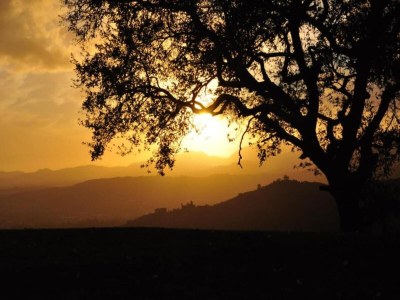 Holiday house Capannori Verspieltes Cottage - Environment photo 25